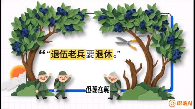 第7节：修剪决定产量（下）&mdash;&mdash;结果树的更新与疏果，课程：《蓝莓&ldquo;高产&rdquo;实战课：从选苗到丰收的10个关键点》