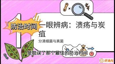 第三节：细菌与真菌&mdash;&mdash;溃疡病与炭疽病，课程：《柑橘十大病虫害：从入门到精通》