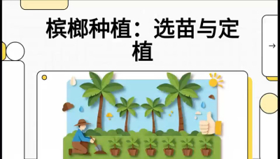 第01节：选苗与定植&mdash;&mdash;&ldquo;苗好一半收，底肥定千秋&rdquo;课程：《槟榔种植：从不懂到精通的10堂必修课》