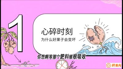 第08节：微量元素与保果&mdash;&mdash;&ldquo;补硼又补钙，果子不裂坏&rdquo;《槟榔种植：从不懂到精通的10堂必修课》