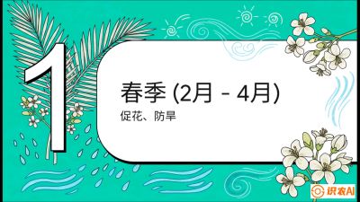 第10节：周年农事日历&mdash;&mdash;&ldquo;跟着节气走，丰产在手头&rdquo;《槟榔种植：从不懂到精通的10堂必修课》
