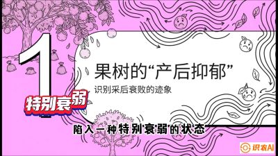 第2节：【冬肥策略】采后&ldquo;月子肥&rdquo;：大小年的精准干预术，课程：《柑橘底肥&ldquo;翻身账&rdquo;：从改土到高产的实战全书》