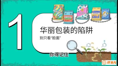 第4节：【黄金配方】底肥里的&ldquo;铁三角&rdquo;与&ldquo;微量雷区&rdquo;课程：《柑橘底肥&ldquo;翻身账&rdquo;：从改土到高产的实战全书》