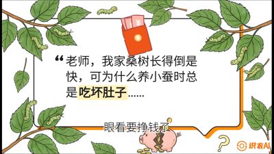 第01节：不仅仅是树&mdash;&mdash;顶级品种选配策略，课程：《桑海淘金：桑树高产与蚕桑安全进阶实战课》