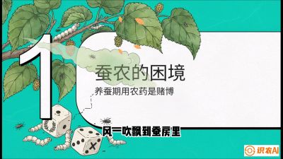 第06节：虫口夺叶（上）&mdash;&mdash;物理与生物防控绝技，课程《桑海淘金：桑树高产与蚕桑安全进阶实战课》