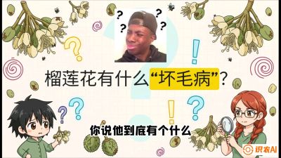 第六节：榴莲的午夜战事，夜间授粉战与花果期避雨策略，课程：《国产榴莲突围战：从泰国经验到中国实操的8堂必修课（高阶实战版）》