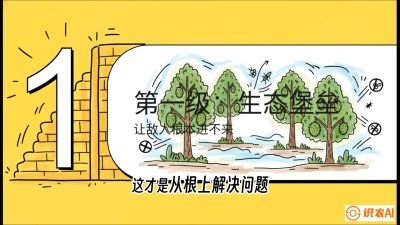 第七节：榴莲防御战：病虫害三级立体防控，疫霉菌与虫害的立体封锁线，课程：《国产榴莲突围战：从泰国经验到中国实操的8堂必修课（高阶实战版）》