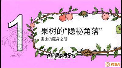 第3节：无人机专治&ldquo;打不透&rdquo;&mdash;&mdash;果树与高杆作物的穿透技巧，课程：《无人机植保搞钱必修课：从&ldquo;瞎飞&rdquo;到&ldquo;懂行&rdquo;的6步进阶》