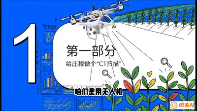 第5节：无人机也能&ldquo;看病抓药&rdquo;&mdash;&mdash;处方图与变量施肥入门，课程：《无人机植保搞钱必修课：从&ldquo;瞎飞&rdquo;到&ldquo;懂行&rdquo;的6步进阶》