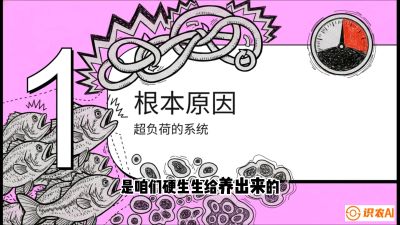 第三节：【爆款单品&middot;加州鲈】从&ldquo;玻璃鱼&rdquo;到&ldquo;摇钱树&rdquo;的通关秘籍，课程：《黄金鳞甲：2025中国淡水鱼高效养殖实战营》