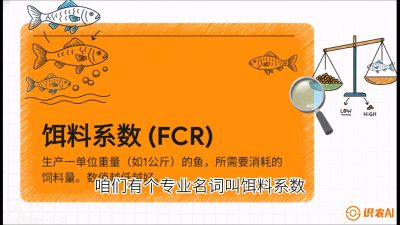 第五节：【高端单品&middot;鳜鱼】&ldquo;饲料鳜&rdquo;技术：打破吃活饵的高成本魔咒，课程：《黄金鳞甲：2025中国淡水鱼高效养殖实战营》