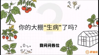 第2节（解毒篇）： 大棚里的&ldquo;红白绿&rdquo;警报&mdash;&mdash;读懂土壤盐渍化的求救信号，课程：《揭秘土壤的秘密：让土地帮你赚钱》#识农AI