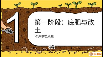 第6节（统筹篇）： 省钱又增产的&ldquo;黄金配比&rdquo;&mdash;&mdash;不同作物全年的养土实操方案，课程：《揭秘土壤的秘密：让土地帮你赚钱》#识农AI