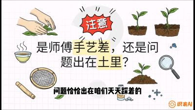 第02节（土肥篇）：告别&ldquo;苦涩水味&rdquo;：揭秘&ldquo;碳氮比&rdquo;调控术，种出自带兰花香的好茶底，课程：《茶金时代：从&ldquo;看天吃饭&rdquo;到&ldquo;精准控局&rdquo;的茶叶高产提质实战课》