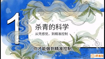 第05节（加工篇）：决胜2分钟：用&ldquo;数字温控&rdquo;破解杀青不匀，复刻大师级手工口感，课程：《茶金时代：从&ldquo;看天吃饭&rdquo;到&ldquo;精准控局&rdquo;的茶叶高产提质实战课》
