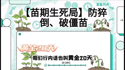 第2节：【苗期生死局】防猝倒、破僵苗，决定后期产量的&ldquo;黄金20天&rdquo;，课程：《辣椒种植实战特训营，从工业辣椒到精品小米辣，教你如何把&ldquo;草&rdquo;种成&ldquo;金&rdquo;》