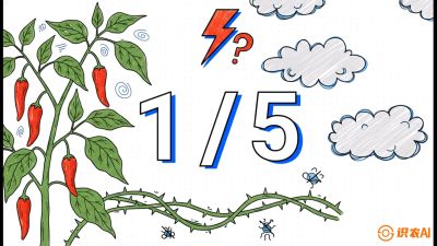 第6节：【花果爆发术】落花落果的五大元凶，与&ldquo;三喷一保&rdquo;坐果黑科技，课程：《辣椒种植实战特训营，从工业辣椒到精品小米辣，教你如何把&ldquo;草&rdquo;种成&ldquo;金&rdquo;》