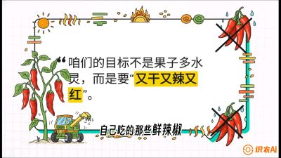 第7节：【工业辣椒专场】追求极致辣度！干物质提升与机械化采收的&ldquo;催红秘籍&rdquo;，课程：《辣椒种植实战特训营，从工业辣椒到精品小米辣，教你如何把&ldquo;草&rdquo;种成&ldquo;金&rdquo;》