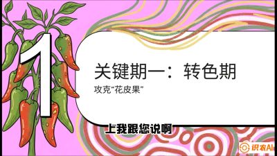 第8节：【小米辣线椒专场】颜值即正义！防花皮、防炭疽，打造收购商抢着要的&ldquo;精品果&rdquo;，课程：《辣椒种植实战特训营，从工业辣椒到精品小米辣，教你如何把&ldquo;草&rdquo;种成&ldquo;金&rdquo;》