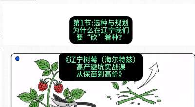 第一节： 选种与规划&mdash;&mdash;为什么在辽宁我们要&ldquo;砍&rdquo;着种？，课程：《辽宁树莓（海尔特兹）高产避坑实战课：从保苗到高价》