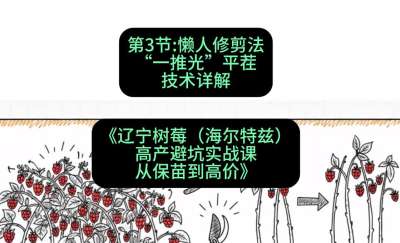 第三节： 懒人修剪法&mdash;&mdash;&ldquo;一推光&rdquo;平茬技术详解，课程：《辽宁树莓（海尔特兹）高产避坑实战课：从保苗到高价》
