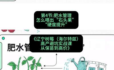 第四节： 肥水管理&mdash;&mdash;怎么喂出&ldquo;石头果&rdquo;（硬度提升），课程：《辽宁树莓（海尔特兹）高产避坑实战课：从保苗到高价》
