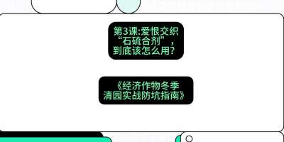 第3节：【核武药剂】爱恨交织的&ldquo;石硫合剂&rdquo;，到底该怎么用？，课程：《经济作物冬季清园&middot;实战防坑指南》#识农AI