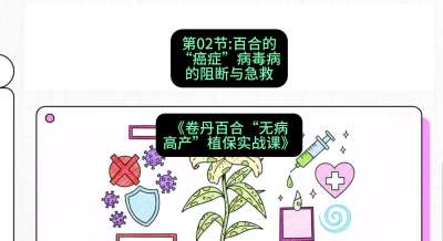 第02节：百合的&ldquo;癌症&rdquo;&mdash;&mdash;病毒病的阻断与急救，课程：《卷丹百合&ldquo;无病高产&rdquo;植保实战课》#识农AI