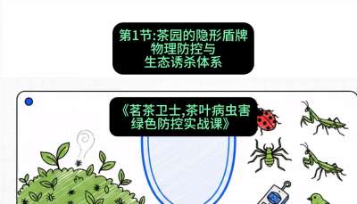 第01节：茶园的&ldquo;隐形盾牌&rdquo;&mdash;&mdash;物理防控与生态诱杀体系，课程：《茗茶卫士&mdash;&mdash;茶叶病虫害绿色防控实战课》#识农AI