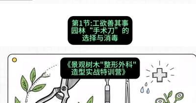 第01节：工欲善其事&mdash;&mdash;园林&ldquo;手术刀&rdquo;的选择与消毒，课程：《景观树木&ldquo;整形外科&rdquo;造型实战特训营》#识农AI