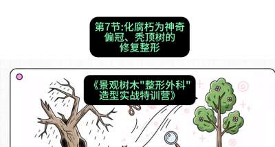第07节：化腐朽为神奇&mdash;&mdash;偏冠、秃顶树的修复整形，课程：《景观树木&ldquo;整形外科&rdquo;造型实战特训营》#识农AI