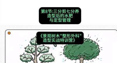 第08节：三分剪七分养&mdash;&mdash;造型后的水肥与定型管理，课程：《景观树木&ldquo;整形外科&rdquo;造型实战特训营》#识农AI