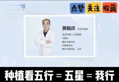 中药材淫羊藿怎么种？听专家一次讲明白！不挑地块好管理，耐寒耐旱省心省力，新手也能轻松上手，药用价值高、市场需求稳，妥妥的增收好品种～ 从生长习性到采收要点，干货满满无废话，种植疑问直接问，一对一答疑解