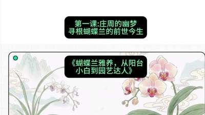 第一节：庄周的幽梦：寻根蝴蝶兰的前世今生，课程：《蝴蝶兰雅养六讲：从阳台小白到园艺达人》#识农AI