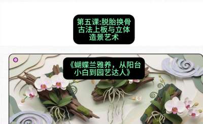 第五节：脱胎换骨：古法上板与立体造景艺术，课程：《蝴蝶兰雅养六讲：从阳台小白到园艺达人》#识农AI
